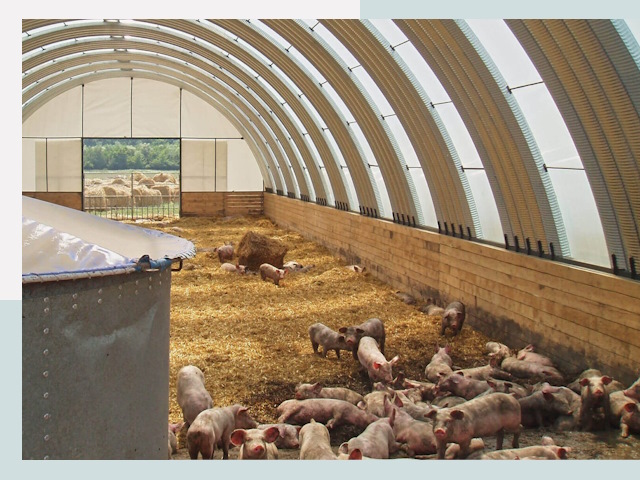 Строительство свинарников в Спасске-Дальнем