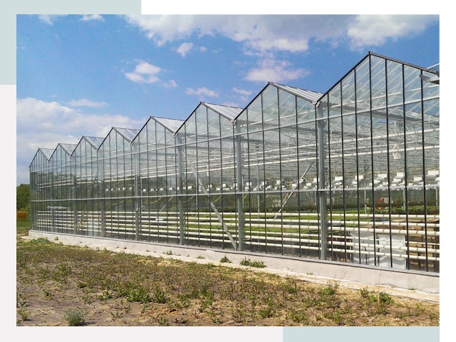 Строительство теплиц в Спасск-Дальний от 621 руб. за м²