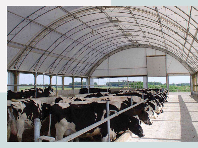 Тентовые коровники в Спасске-Дальнем